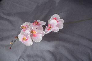 Művirág ORCHIDEA rózsaszín-fehér