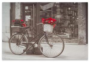 DIVERO Falikép Bike & Star 40 x 60 cm