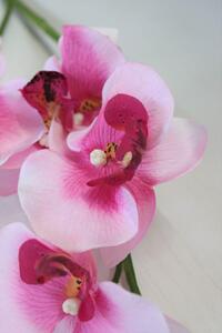 Fehér-rózsaszín mű orchidea 80cm