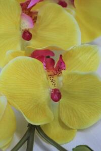 Sárga mű orchidea, szárral 75cm