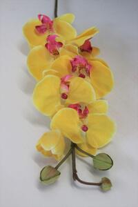 Sárga mű orchidea, szárral 75cm