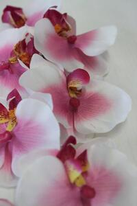 Fehér-rózsaszín mű orchidea, szárral 75cm