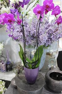 Lila üveg váza orchideára 20cm