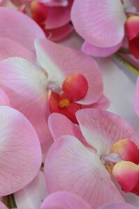 Rózsaszín három szárú mű orchidea, levelekkel 90cm