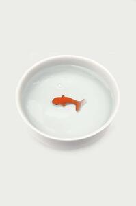 Luckies of London macska itató Goldfish