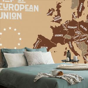 Tapéta oktatási térkép az Európai Unió országainak nevével barna árnyalatban