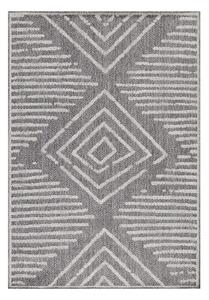 Szürke kültéri szőnyeg 80x150 cm Aruba – Ayyildiz Carpets