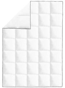 VidaXL 2 db téli pehelypaplan 155 x 220 cm