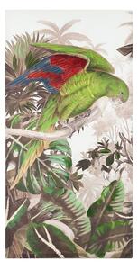 Vászon kép, papagáj piros-kék szárnnyal, 60x120 cm, bézs - SAO PAULO