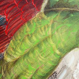 Vászon kép, papagáj piros-kék szárnnyal, 60x120 cm, bézs - SAO PAULO