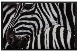 Állatos prémium lábtörlő – zebra