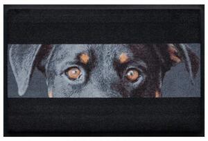 Állatos prémium lábtörlő – fekete kutya