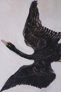 Festmény reprodukció The Black Swan (2 of 2) - Hilma af Klint, (26.7 x 40 cm)