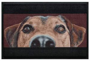 Állatos prémium lábtörlő – barna kutya
