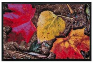 Évszakok prémium lábtörlő – őszi levelek