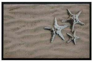 Elemek prémium lábtörlő – tengeri csillagok