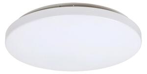 Rabalux Rabalux 3339 - LED Menyezeti lámpa ROB LED/32W/230V RL3339