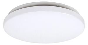 Rabalux Rabalux 3338 - LED Menyezeti lámpa ROB LED/20W/230V RL3338