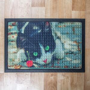 Festett gumis textil lábtörlő 40x60 cm – Macska mintával