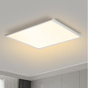 Brilagi Brilagi - LED Dimmelhető lámpa SLIMFRAME LED/58W/230V 60x60 cm fehér + távirányító BG1544