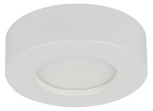 Globo GLOBO 41605-9D - LED Dimmelhető fürdőszobai lámpa PAULA 1xLED/9W/230V IP44 GL4851