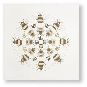 Keret nélküli kép - vászonnyomtatás - 105872, Beautiful Bees, Graham & Brown