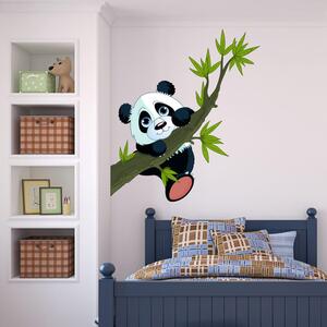 Panda On Branches falmatrica - Ambiance