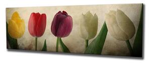 Vászon falikép, tulipánok, 80x30 cm, krémszínű - TULIPES