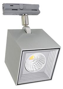 Philips LED Menyezeti lámpa DAU SPOT MONOFASE LED/10W/230V P2689