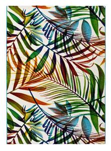 Maloza Colors szőnyeg, 120 x 170 cm - Universal