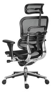 Ergohuman irodai szék
