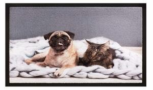 Cat and Dog lábtörlő, 40 x 60 cm