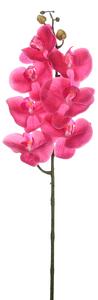 Orchidea 7 virággal pink