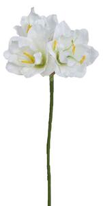 Mű amarilisz, fehér, 54 cm