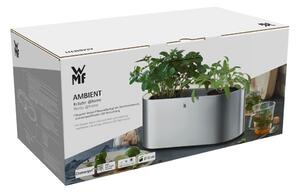 Ambient Herbs rozsdamentes virágtartó - WMF