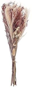 Rózsaszín Szárított Virágok 50 cm ZAMORA