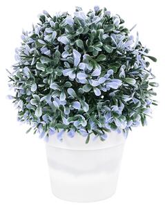 Dekornövény virágtartóban, kék, 20 cm