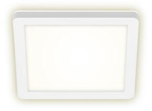 Briloner Briloner 3010-016 - LED Mennyezeti lámpa LED/8W/230V 19x19 cm fehér IP44 BL1036