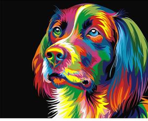 Festés számok szerint kép kerettel "Színű kutya" 40x50 cm