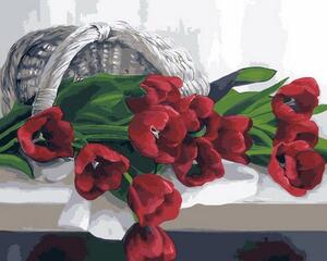 Festés számok szerint kép kerettel "Piros Tulipánok" 40x50 cm