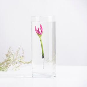 Henger alakú üveg váza, merülő virágoknak, S