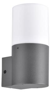 Polux Kültéri fali lámpa DALLAS 1xE27/12W/230V IP44 SA1504
