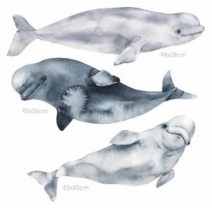 Falmatrica Óceán világ három nagy méretű beluga delfin 100 cm x 100 cm