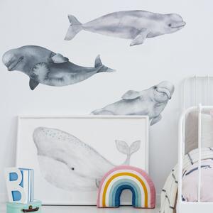 Falmatrica Óceán világ három nagy méretű beluga delfin 100 cm x 100 cm