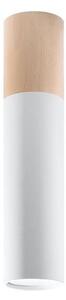 Sollux Mennyezeti lámpa PABLO 1xGU10/40W/230V fehér SLX0411