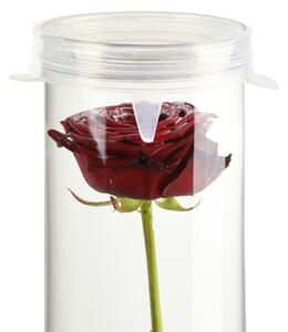 Tető henger alakú üveg vázához, vízbe merülő virágoknak