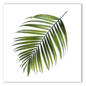 Canvas Greenery Black Palm kép, 32 x 32 cm - Styler