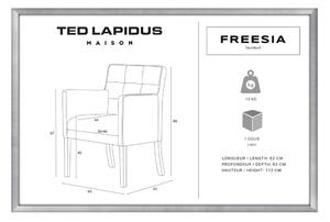 Freesia szürkésbarna bükkfa szék, sötétbarna lábakkal - Ted Lapidus Maison