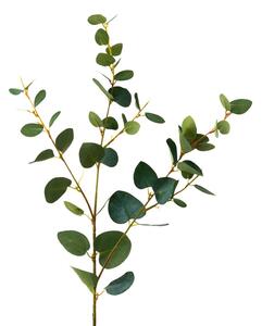 FLORISTA eukaliptusz ág, zöld 70cm