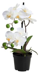 FLORISTA cserepes orchidea, 35 cm